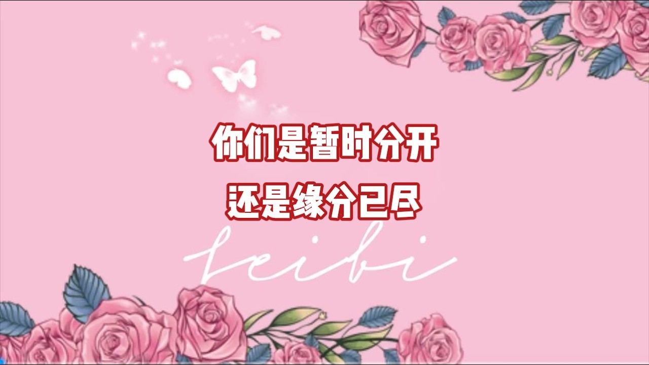 你们是暂时分开还是缘分已尽？