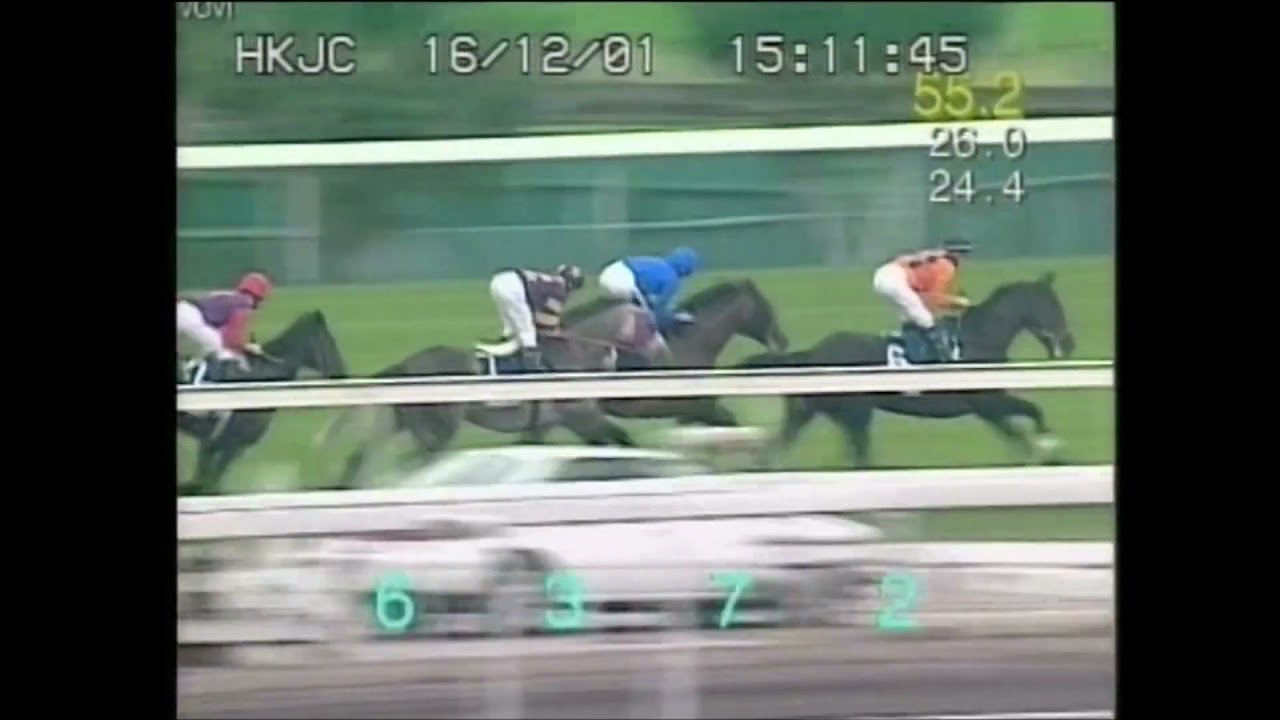 ステイゴールド 2001年香港ヴァーズ【黄金旅程】HD