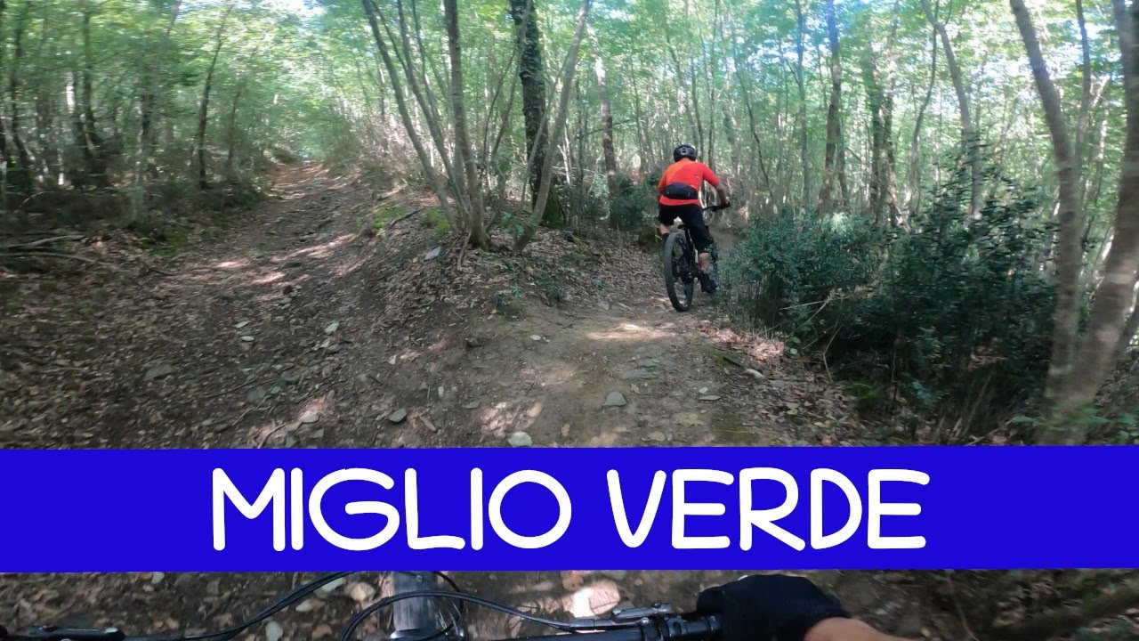 MTB Monte Morello 07.09.2024 sentiero  MIGLIO VERDE