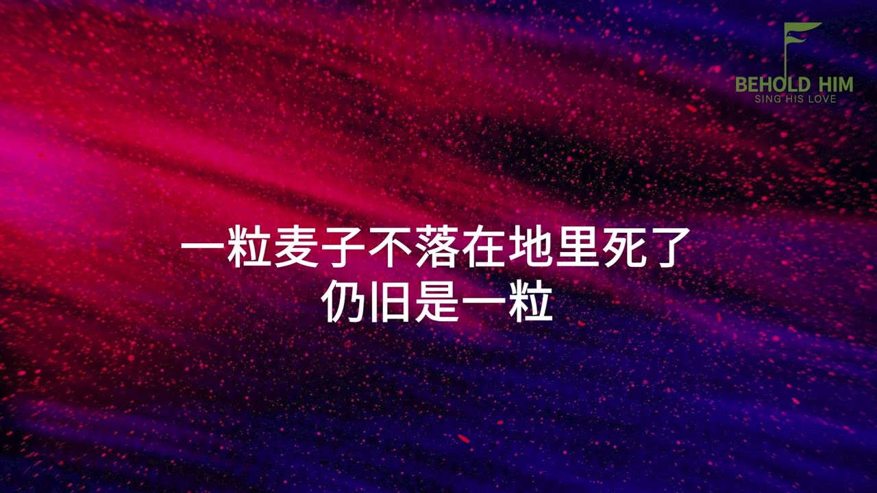 被杀的羔羊配得