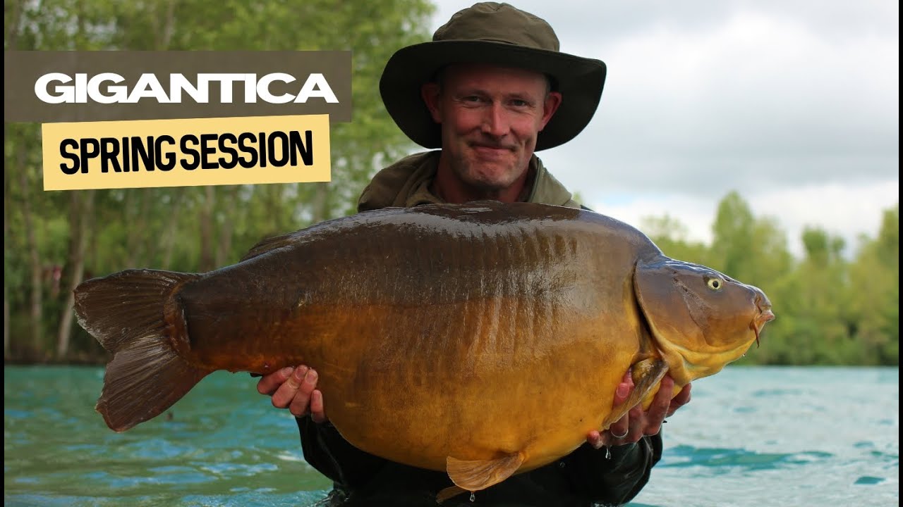 Gigantica Spring Session | Extract