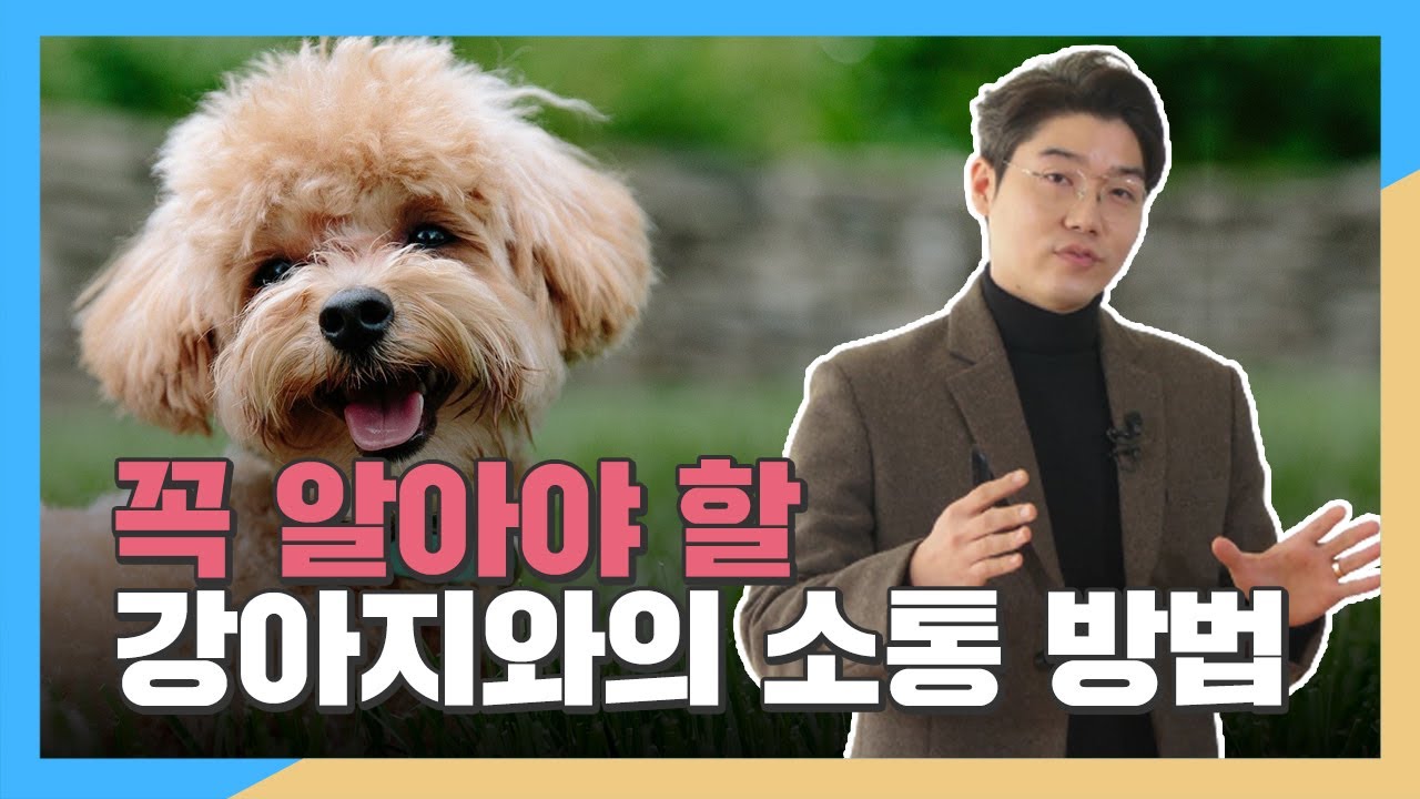 강아지를 키운다면 꼭 알아야 할 소통 방법 - 설채현 수의사