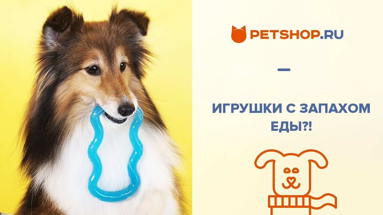 NYLABONE - ИГРУШКИ ДЛЯ СОБАК С ЗАПАХОМ ЕДЫ!