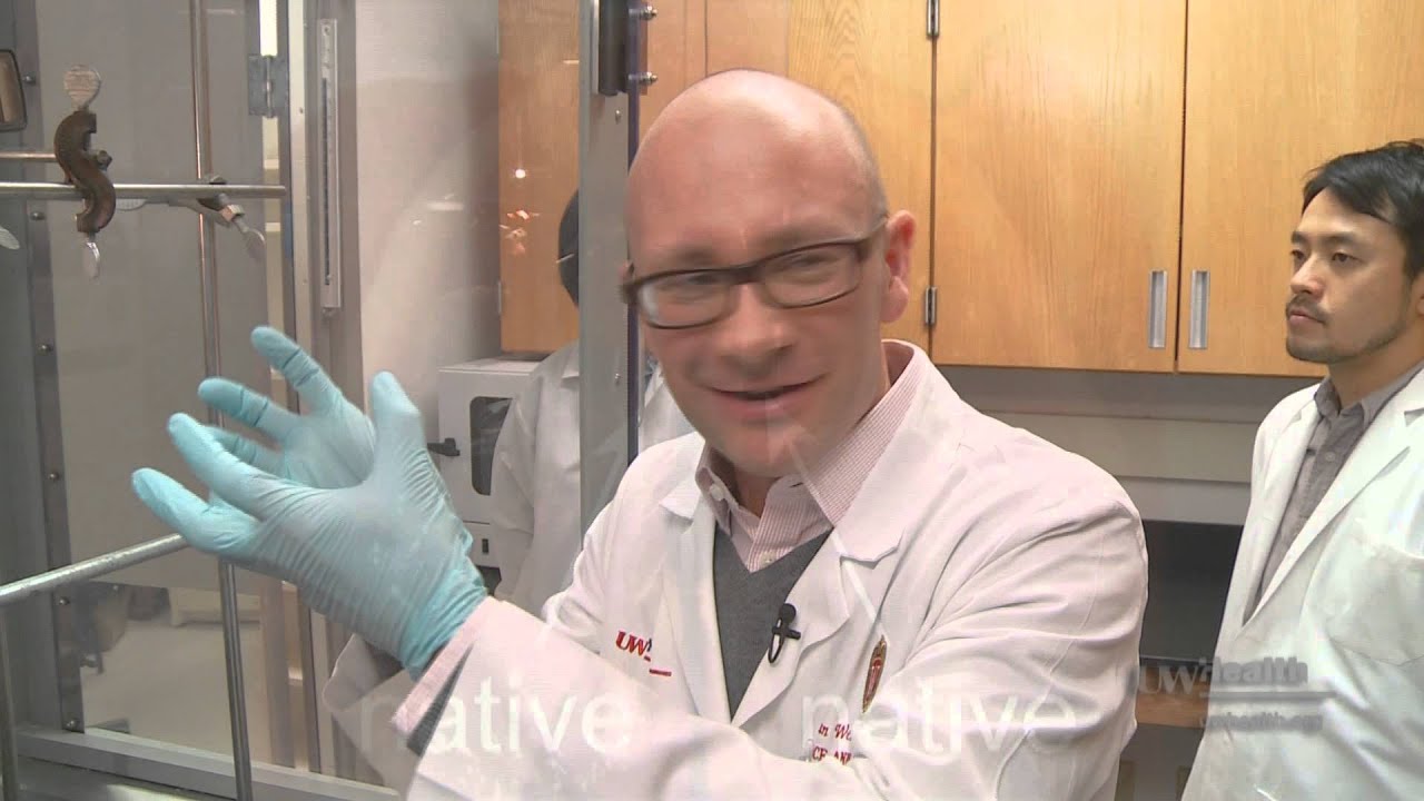 Engineered Vocal Fold Tissue