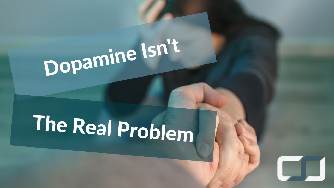 What Reward System Can an INTP Replace a Dopamine One With? | CS Joseph Responds