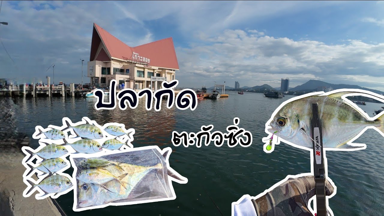 ไอ้เปียกัดดุ ปลาโฉมงามก็มีขึ้น #เกาะลอย #ตกปลาไอ้เปีย #aji 
