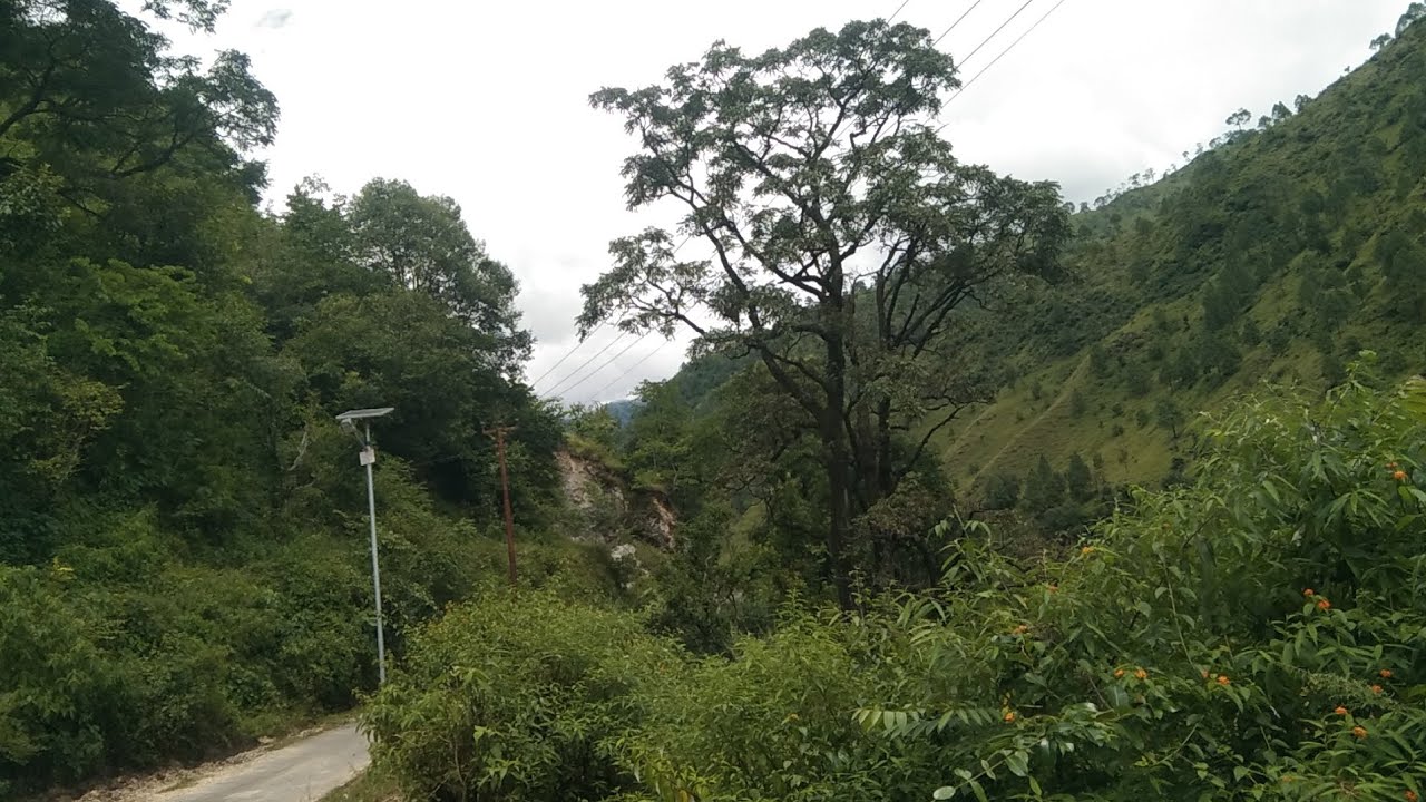 Aaj khet ❤️mein lagaya Pani 😍