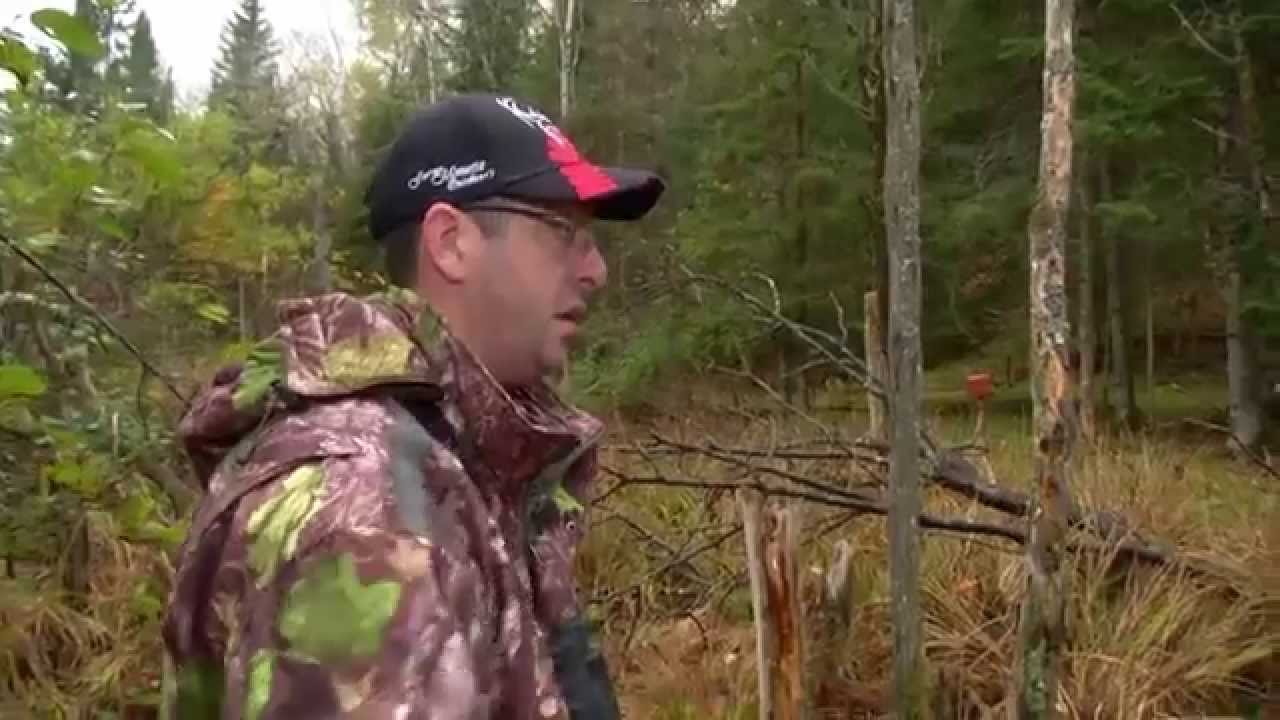 Réactivation des salines avec la coca et la poudre d'automne