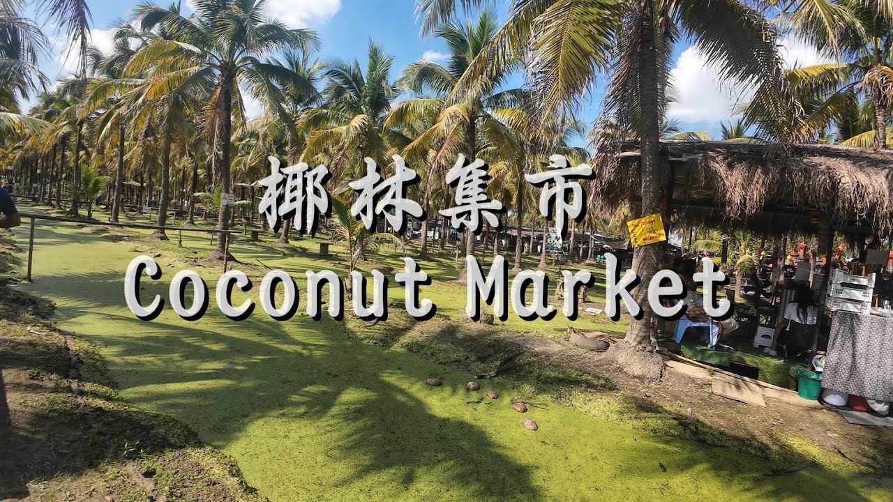 🌴Coconut Market in Chiang Mai