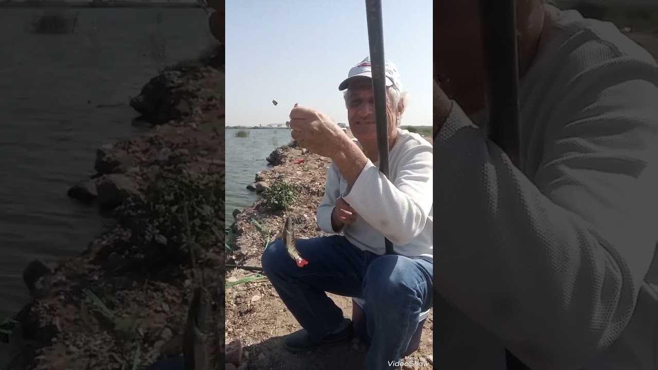 من أفضل أماكن صيد البلطى فى الاسكندرية بتفاصيل المكان الطعم برغوت