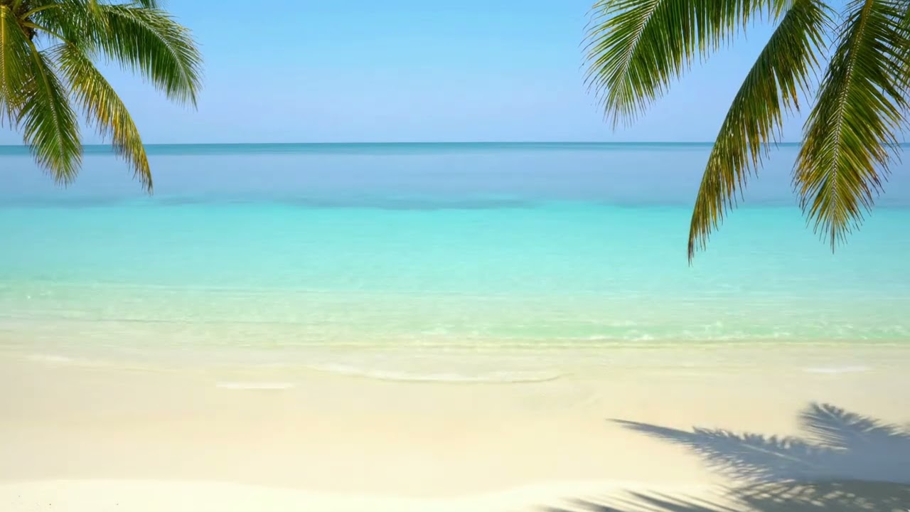 Белый пляж с волнами | Расслабляющая атмосфера 4K #naturesounds #oceanwaves #beach