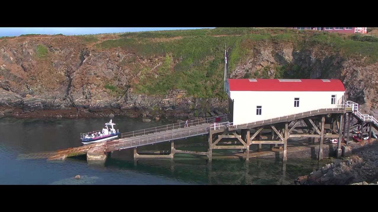 RSPB Ramsey Island - why is it special? (HD Film)