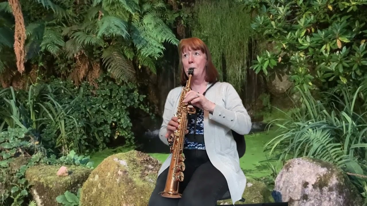 Contentment sax cover by Janet Davies