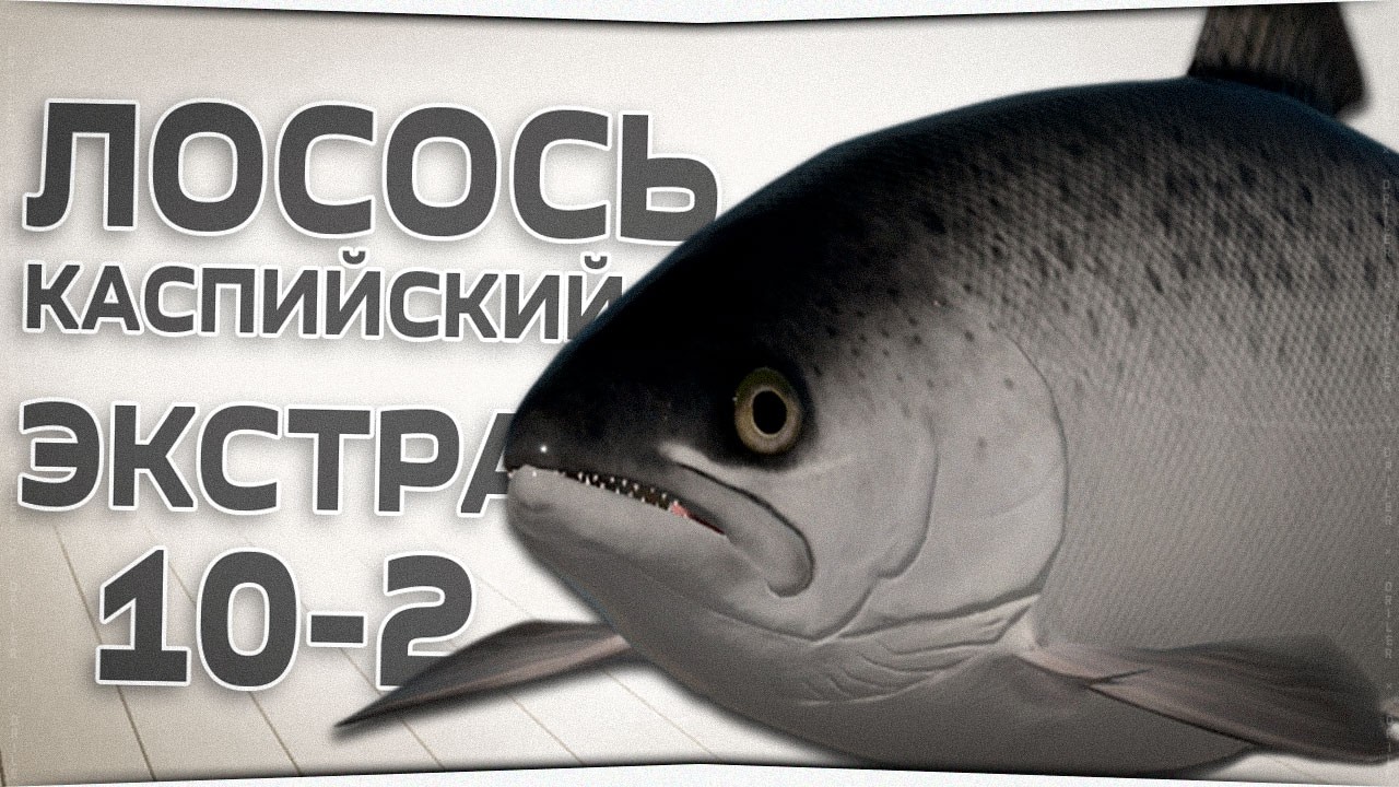 Лосось Каспийский на реке Ахтуба • НГ задания с 1-го уровня • Русская Рыбалка 4 • Стрим #10