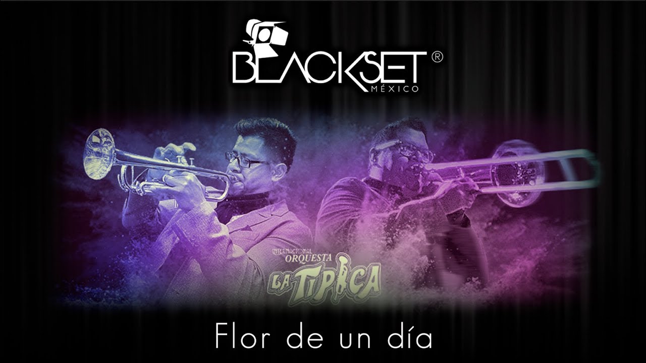 Flor de un día - Orquesta La Típica en Blackset México ®