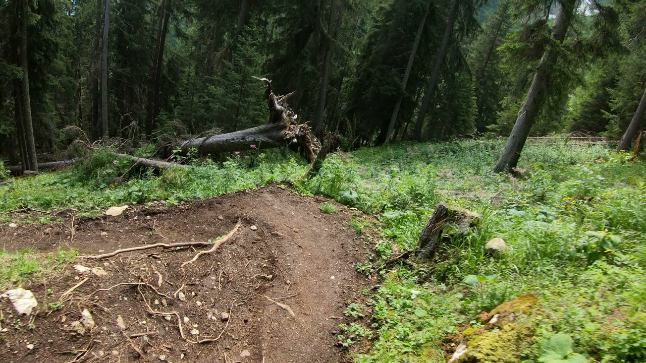 EWS titans trail Canazei