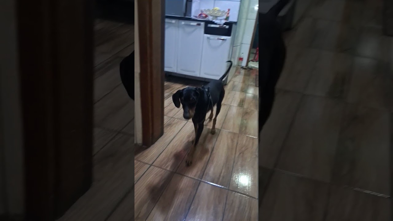 Belinho