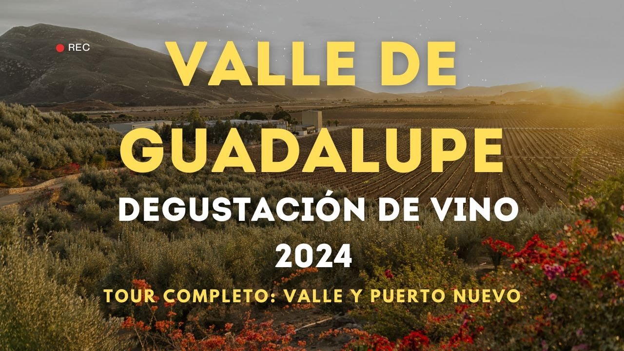 Lo Mejor de Valle de Guadalupe y Puerto Nuevo | Vino  y Langosta