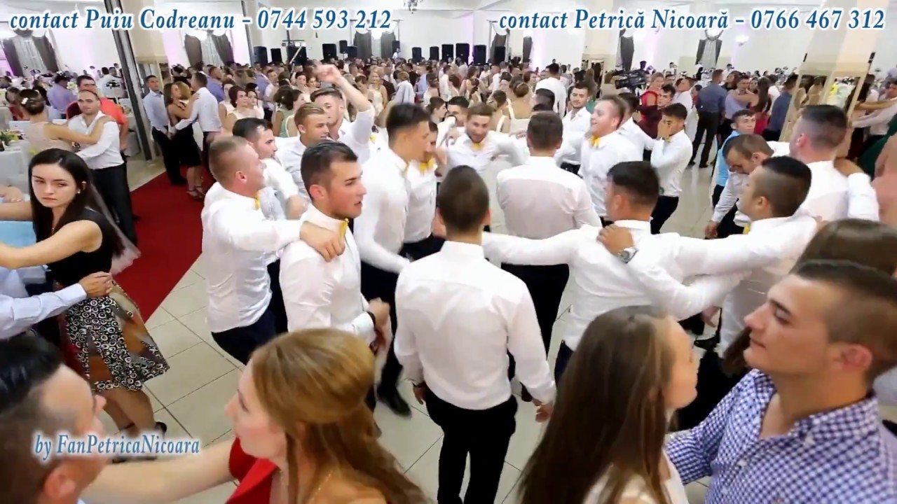 Puiu Codreanu si Petrica Nicoara | Show Live 2017 | Nunta la Tarsolt