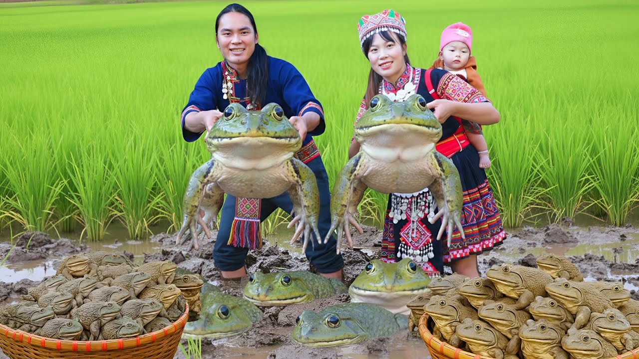 Catching Giant Frogs to Cook Delicious Meals For The Family - Farm Care