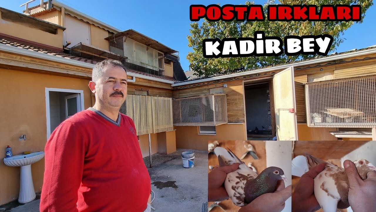 YİNE HARİKA Bİ TESİS ZİYARETİ DAHA  KADİR BEYİN MÜLEMANS POSTA VE YARIŞ POSTASI KÜMESLERİ