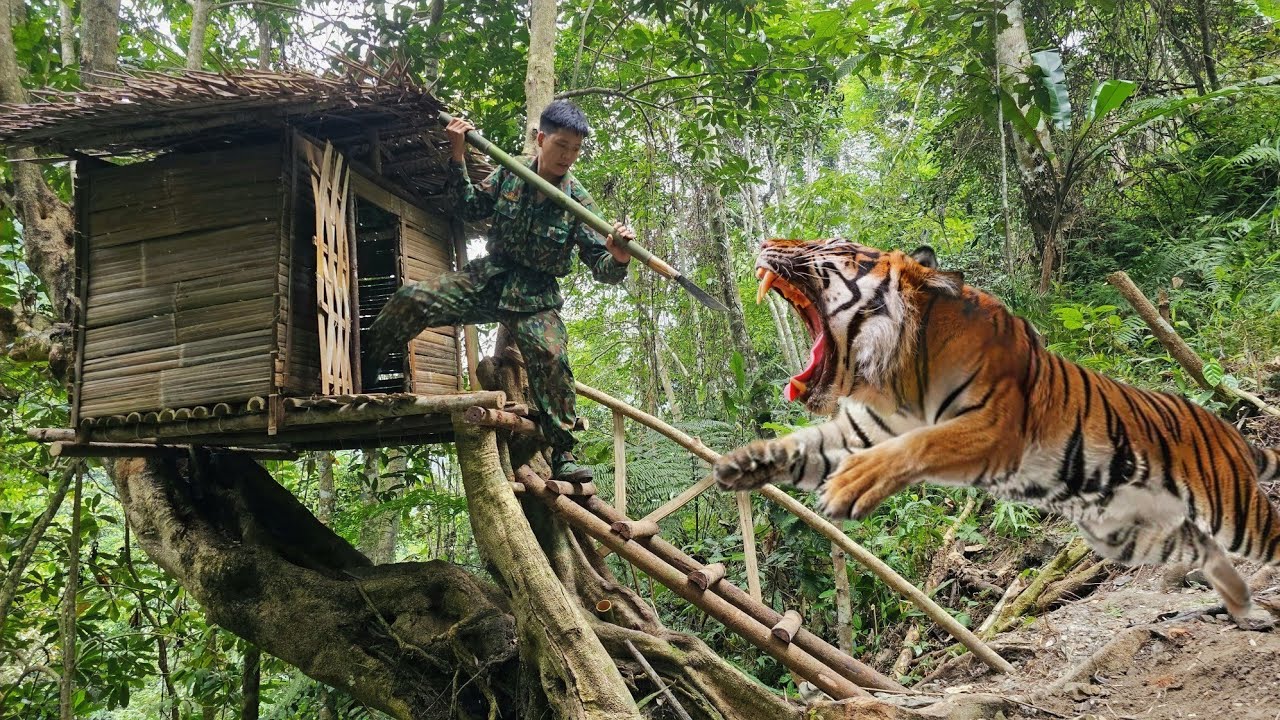 25 days living alone in the wild, in a shelter, confronting wild animals and dangerous reptiles