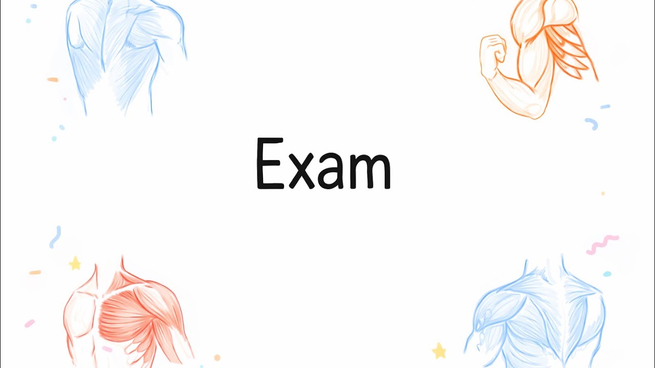 Practical Exam Back, Shoulder & Arm Muscles— Group A