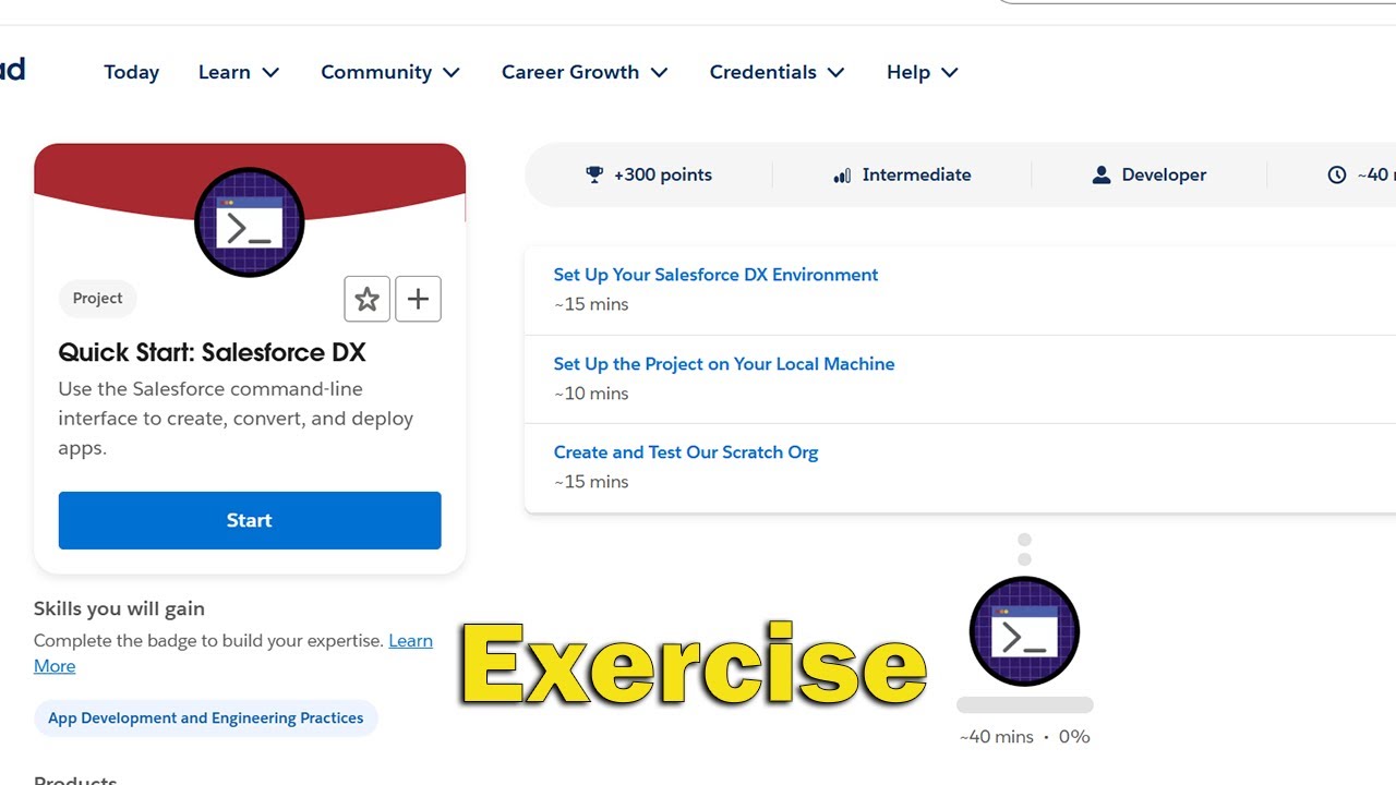 Quick Start Salesforce DX Follow Along Exercise Challenge