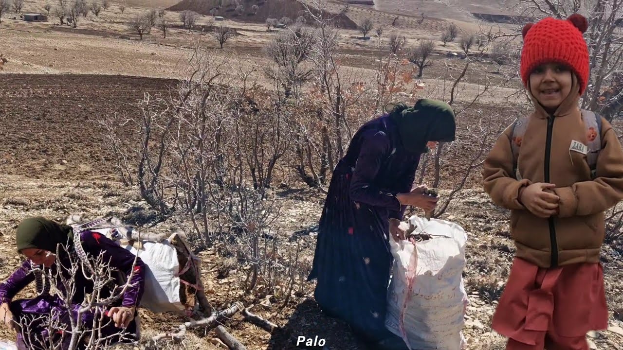The Hard Life of Leila and Her Disabled Child in the Heart of the Mountains | A Mother's Struggle 