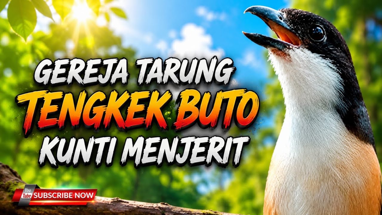 CENDET GACOR DENGAN MATERI PALING LARIS DAN VIRAL DI GANTANGAN GARANSI MENJERIT