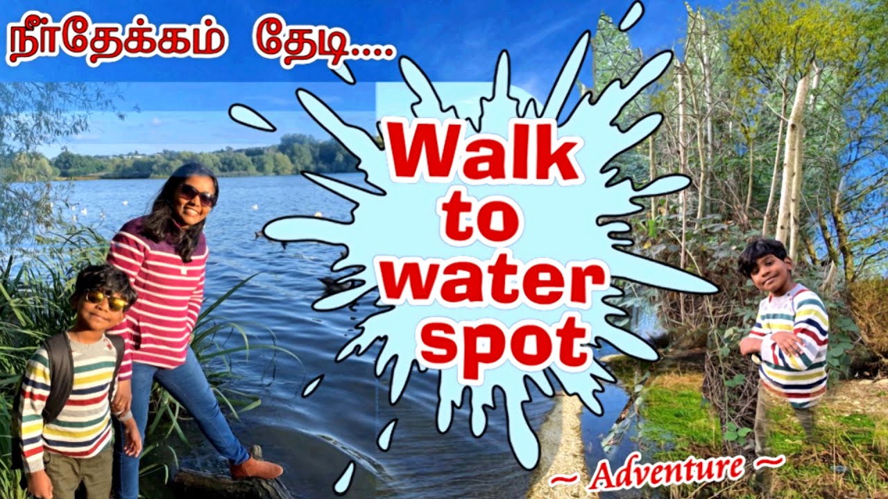 Adventure Walk to Water Reservoir | Casual Vlog| நீர் தேக்கத்தை நோக்கி| Feeding Birds| UK Tamil Vlog
