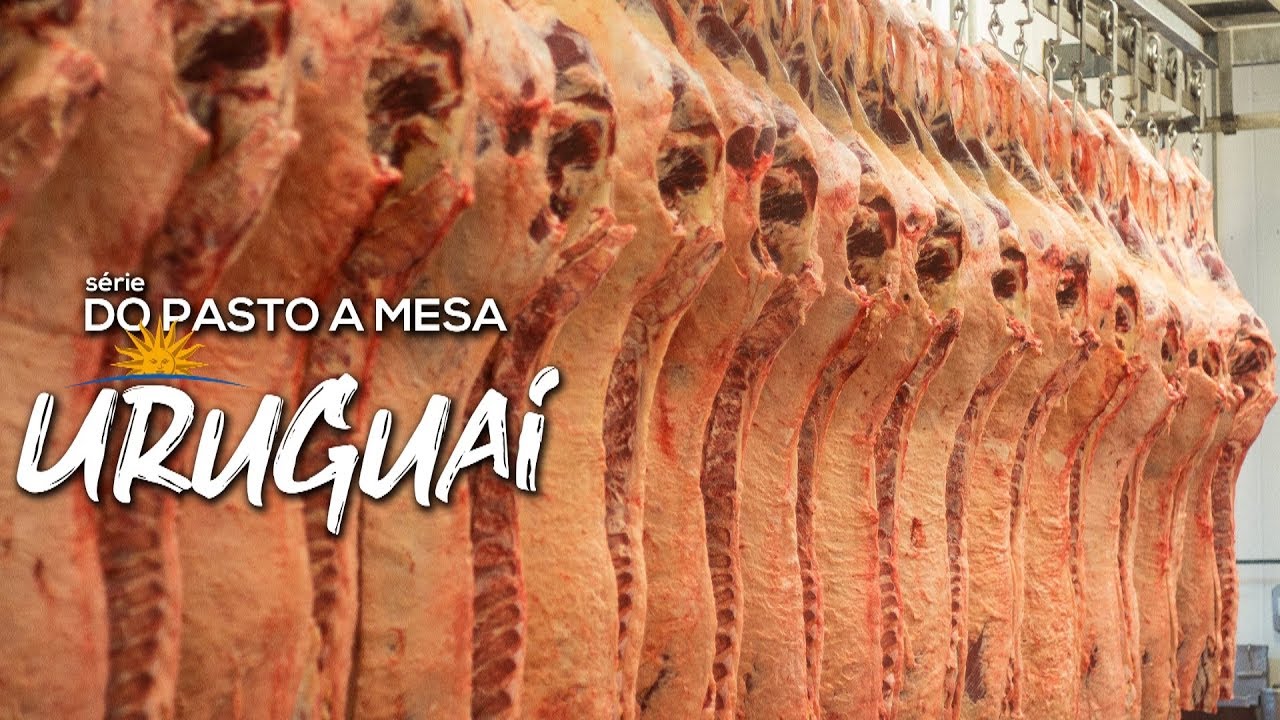 COMO FUNCIONA UM FRIGORÍFICO PARTE 01