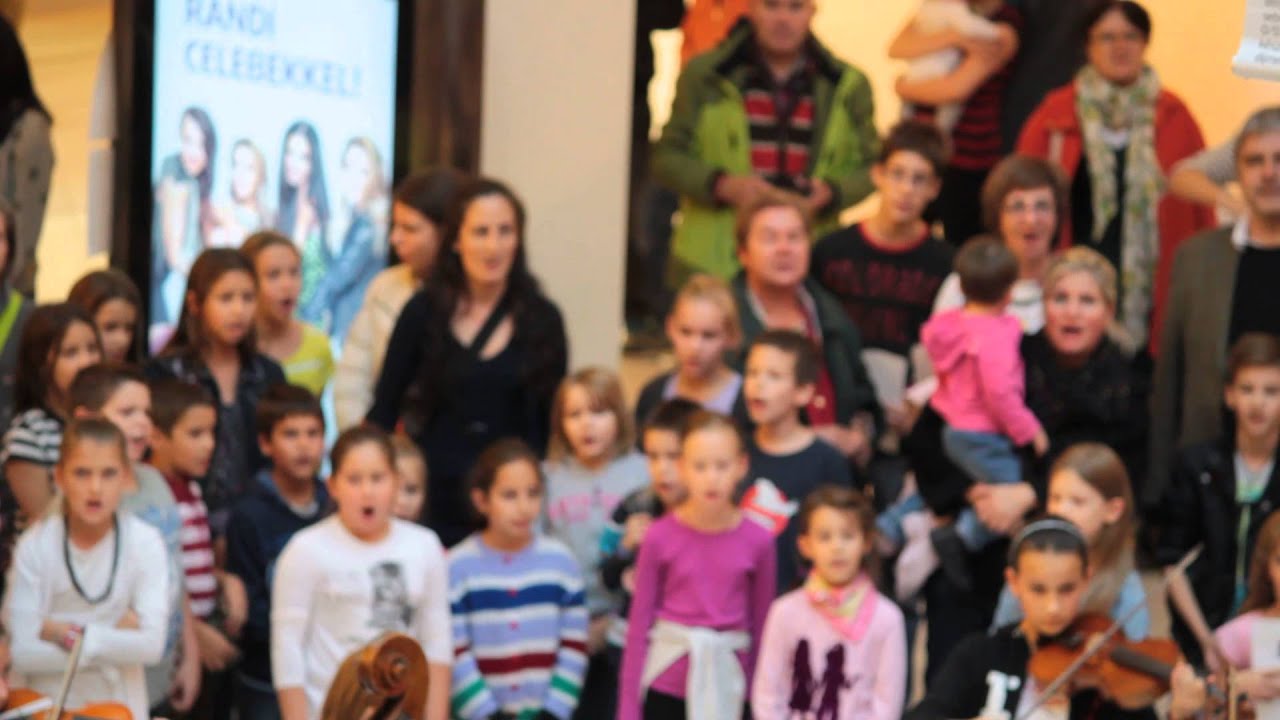 hubay zeneiskola flashmob örömóda