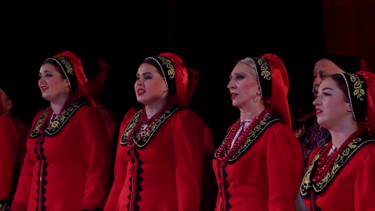 Академічний народний хор Чернігівського філармонійного центру // Проводжала мати