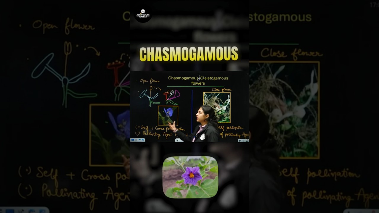Secret of Chasmogamous Flower 🌸 #Shorts #Chasmogamous #Flower #PW