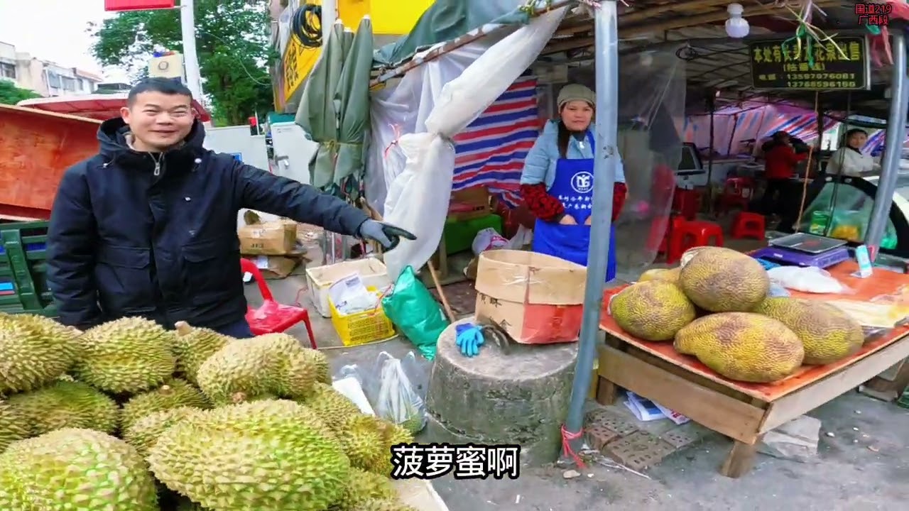 爱店镇休息几天，继续出发，在寨安乡桥头露营，这几天下雨，降温一直很湿冷自行车环国旅行第746天到达第17省广西壮族自治区崇左市寨安乡#G219国道 #带狗旅行  #穷游中国   #广西壮族自治区