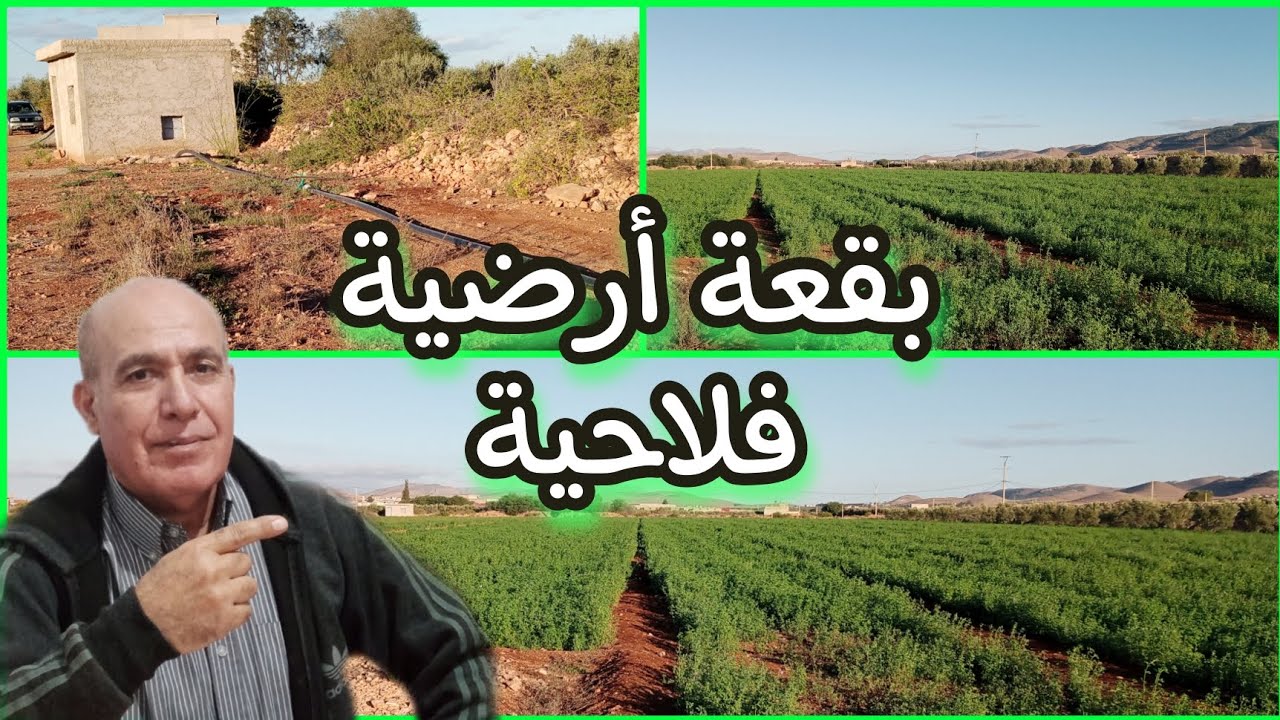 همزة قطعة أرضية رائعة للفلاحة في الدويرية بثمن مناسب