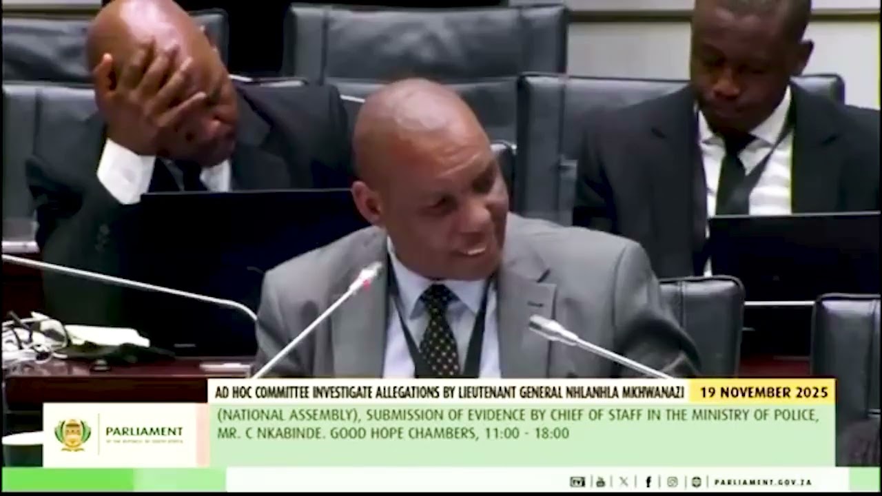 EFF Deputy Secretary-General @LeighAnnMathys cross examination  of Cedric Nkabinde