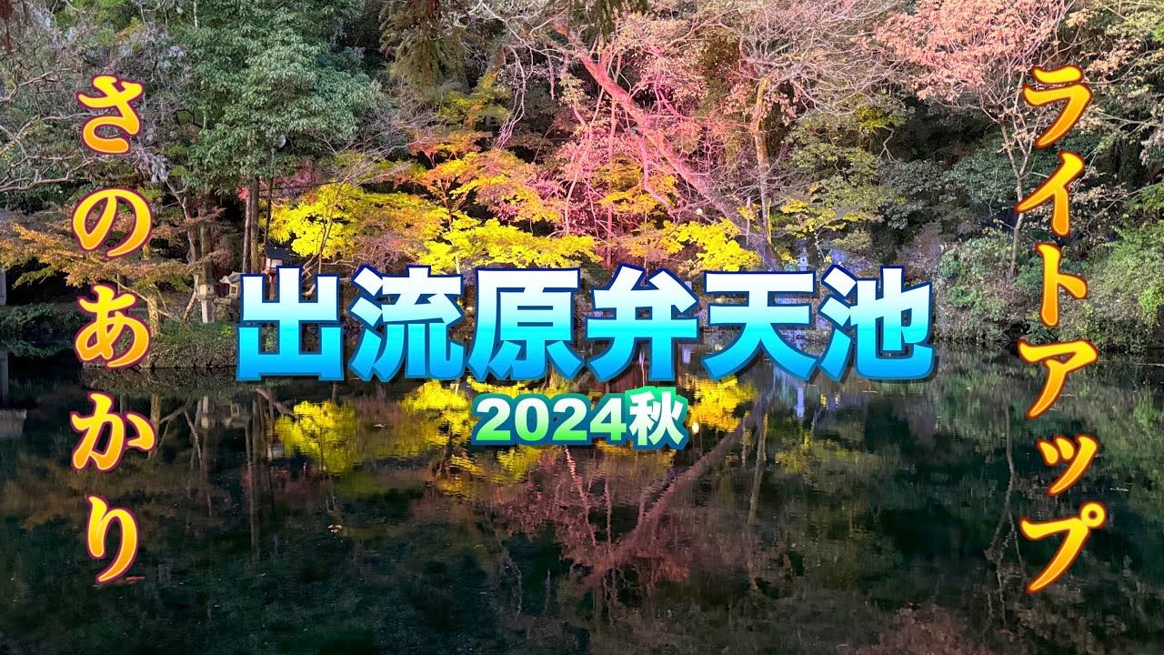 【出流原弁天池湧水－日本名水百選－】【さのあかりライトアップイベント2024秋】【栃木県　佐野市】／４Ｋ／Izuruhara Benten Pond／light up event