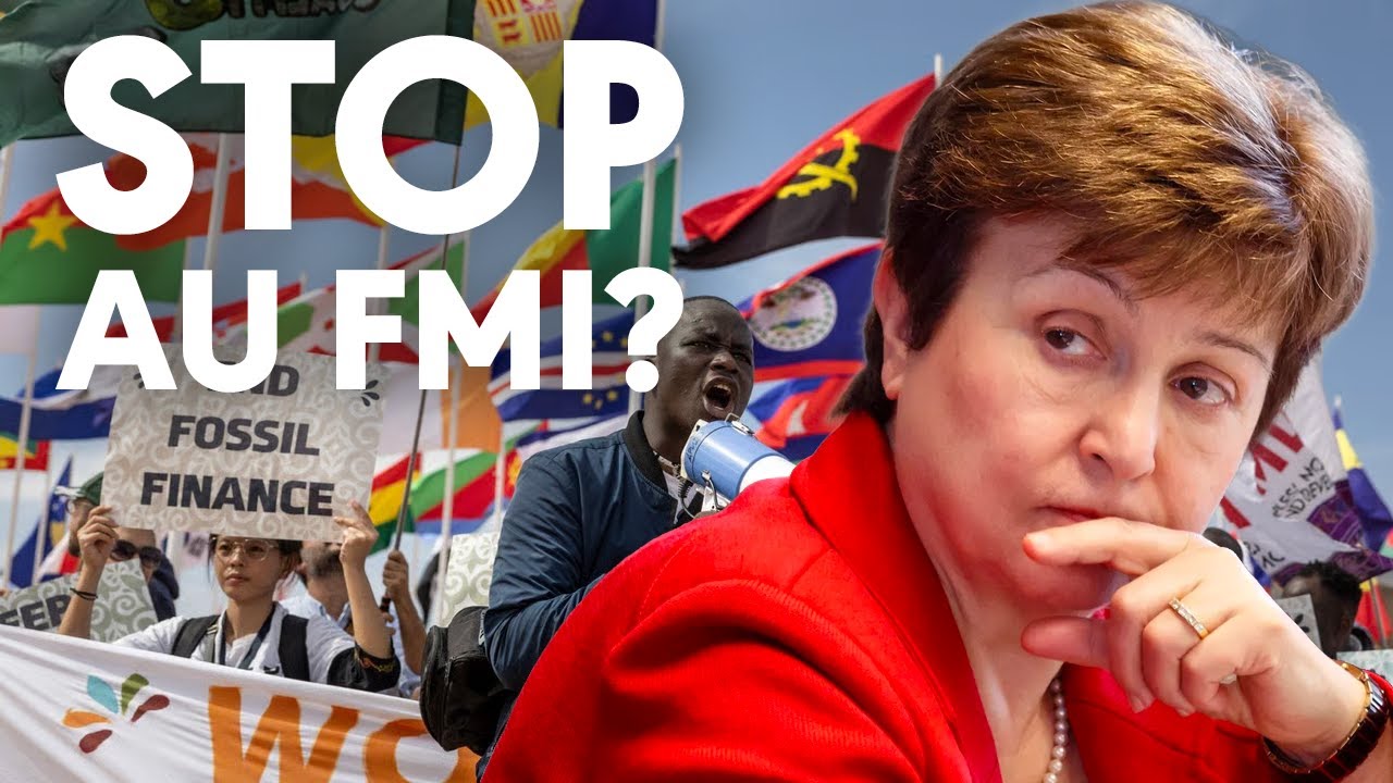 L’ AFRIQUE DOIT-ELLE DIRE STOP AU FMI?