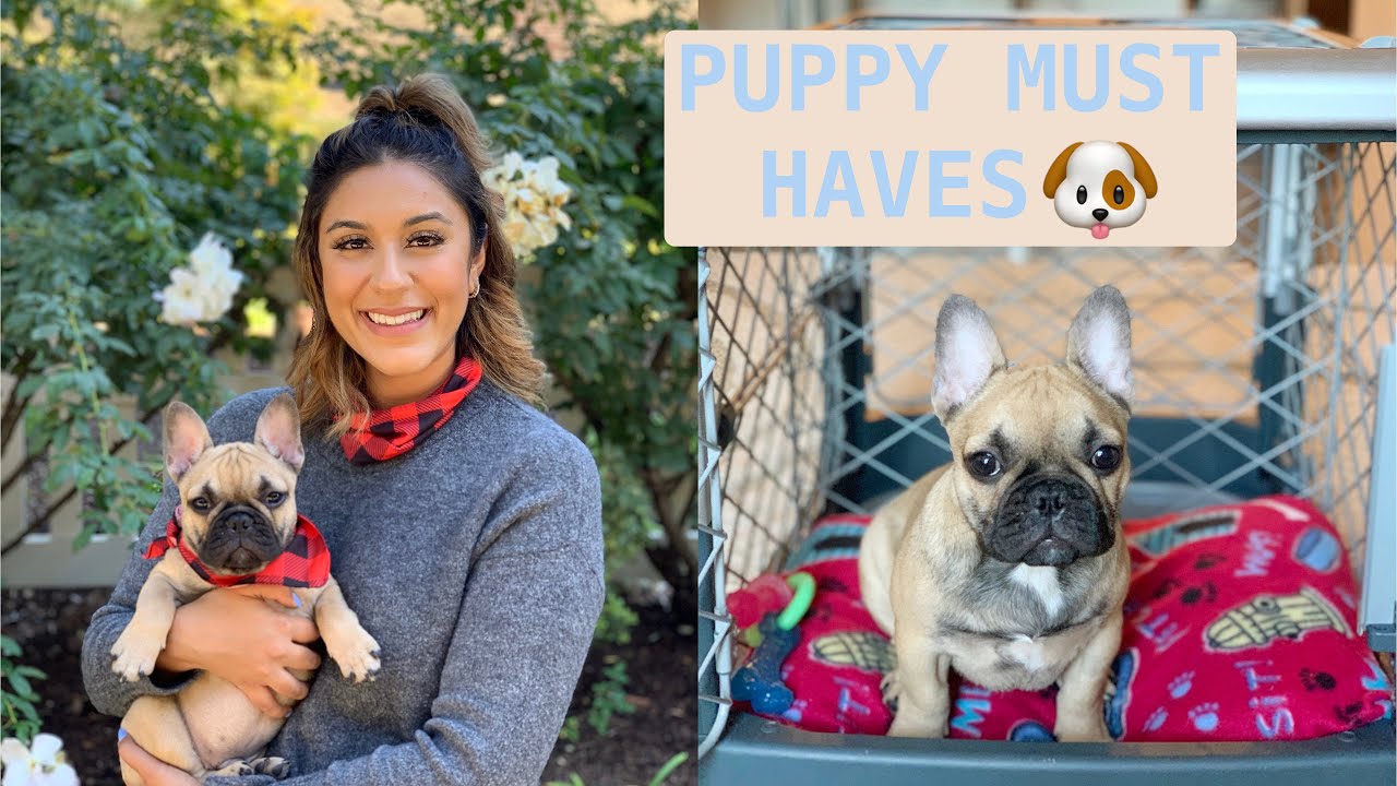 NEW PUPPY PRODUCT CHECKLIST & HAUL