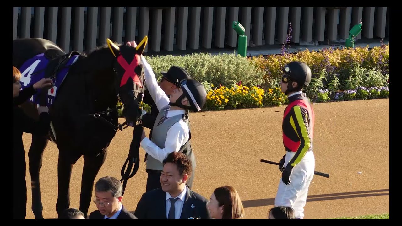 【武豊】マジックサンズ徹底分析！東京新聞杯に出走予定