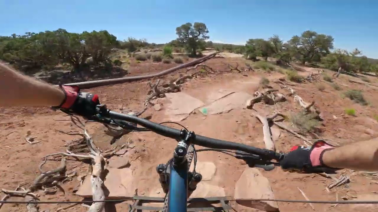 Exploring Utah: Rodeo and Mustang