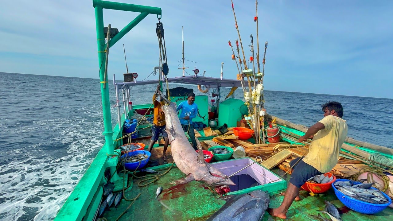 Ohh❗ FIRST DAY GREAT DAY 💢 FULL VIDEO CAPTURE 🤩 INDIAN FISHING ADVENTURE 