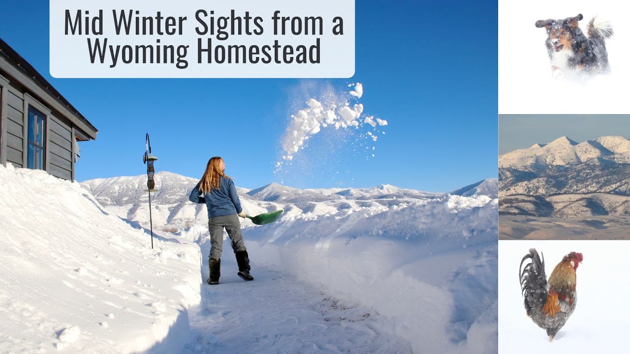 Mid Winter Sights from a Wyoming Mountain Homestead, 50+ Degrees Below Freezing & Lots of Snow!