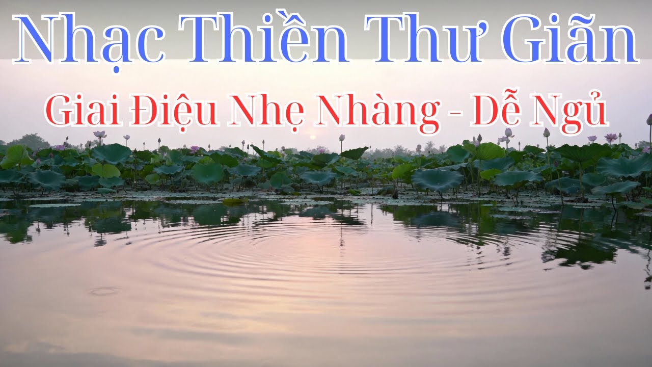 Nhạc Thiền Thư Giãn 3 Tiếng - An Tâm - Ngủ Ngon - Giảm Căng Thẳng