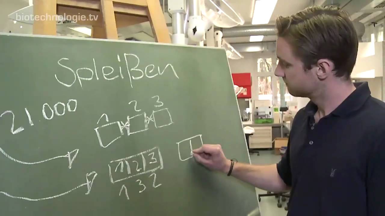 Kreidezeit 77: Splei&szlig;en