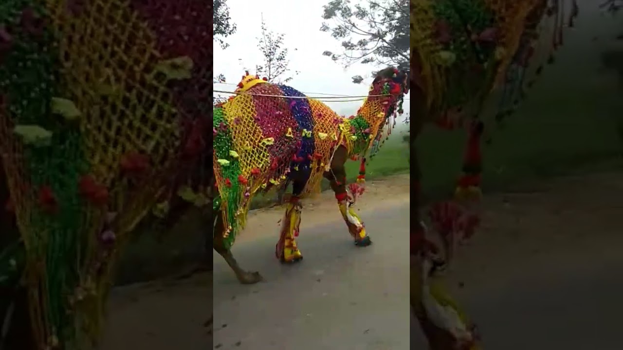 Game | Sidhu mossewala | shooter kahlon | camel | Gaming | 