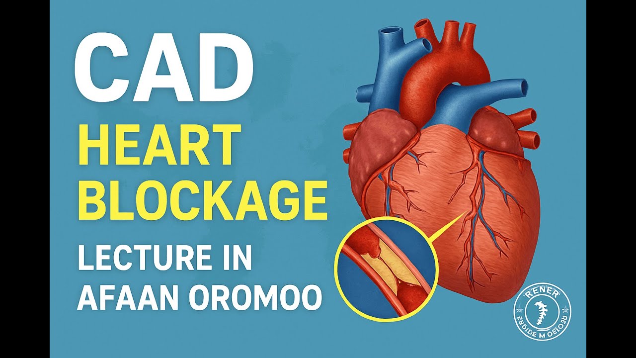 Coronary Artery Disease (CAD) Explained: Symptoms, Risks & Treatment | Afaan Oromoo