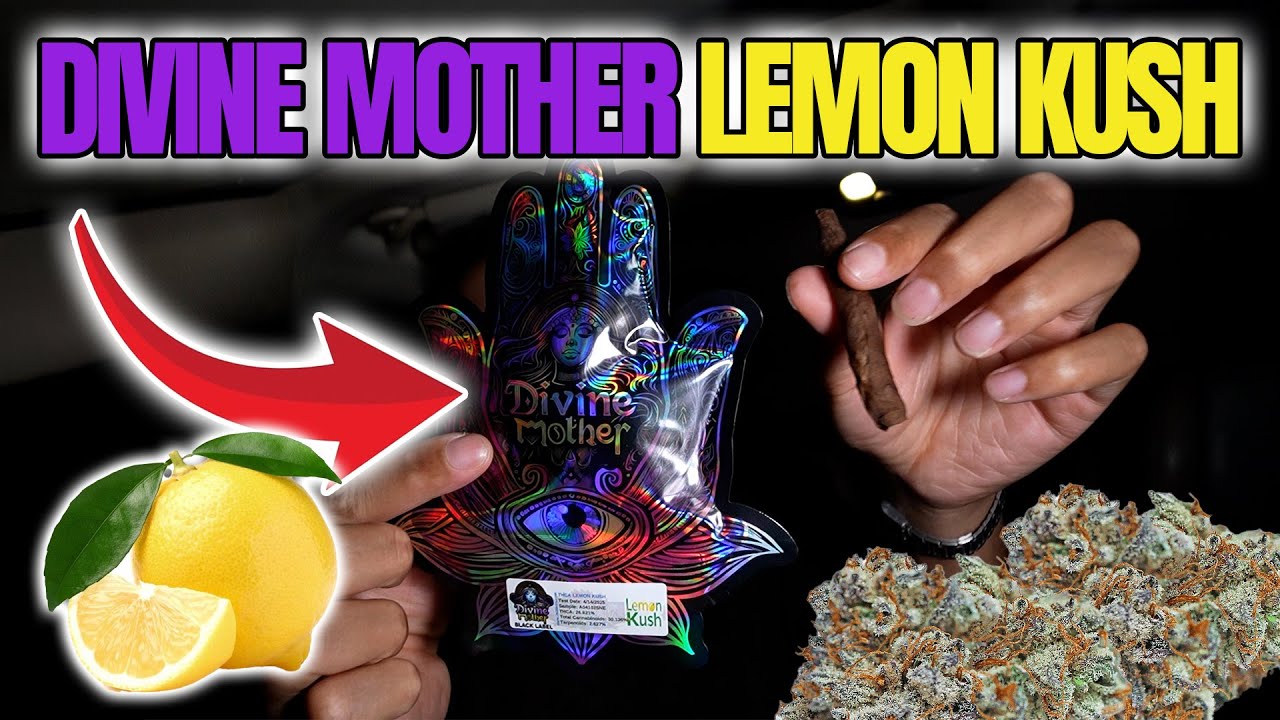 I Tried Divine Mother Lemon Kush&hellip; This Strain Goes CRAZY! 🍋😵&zwj;💫